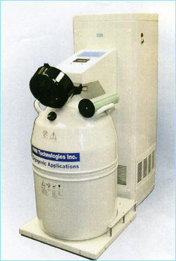 ���^�t�̒��f���i